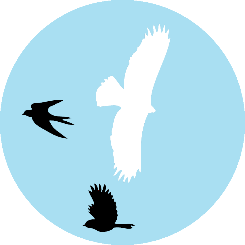 Fugle logo behandling